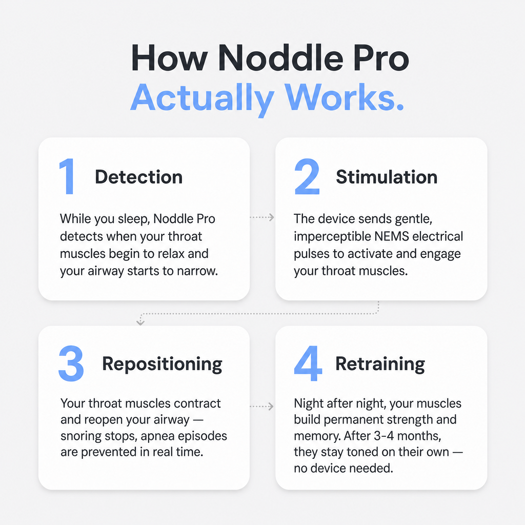 Noddle Pro