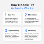 Noddle Pro